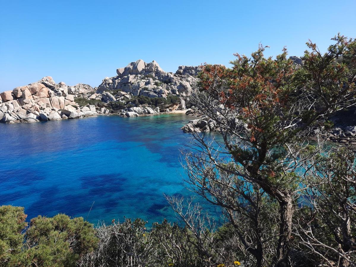La Residenza Del Porto Apartment Santa Teresa Gallura Bagian luar foto
